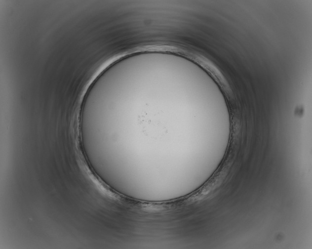 X0000097620852200802290818