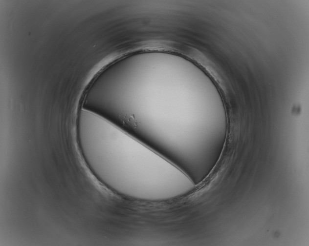 X0000097620853200802290818