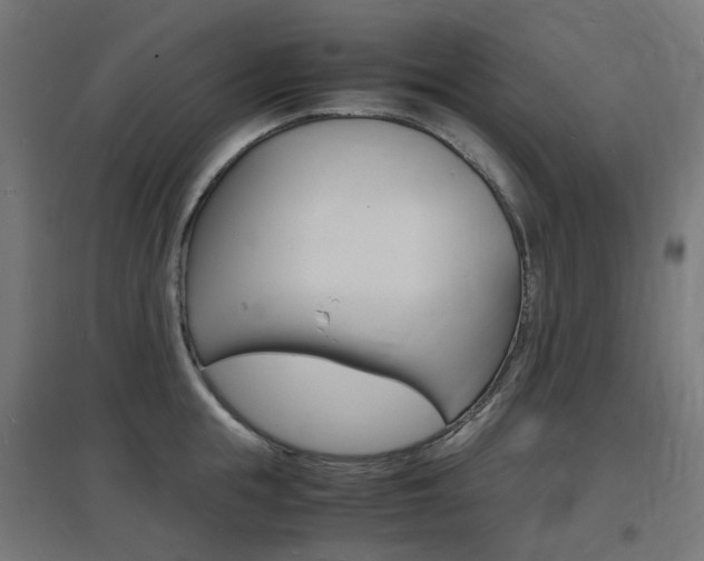 X0000097620855200802290818