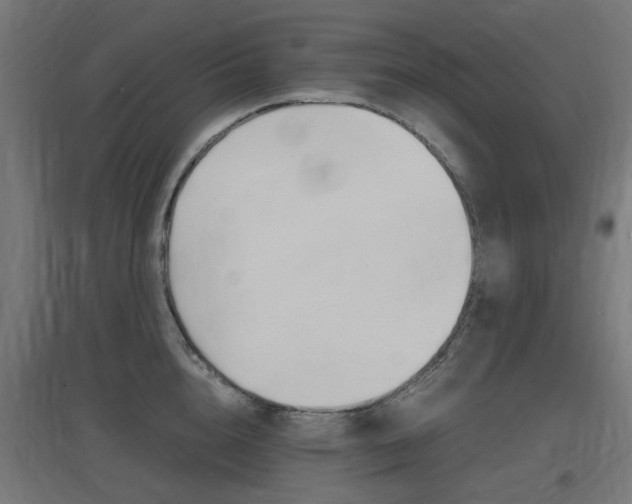 X0000097620856200802290818