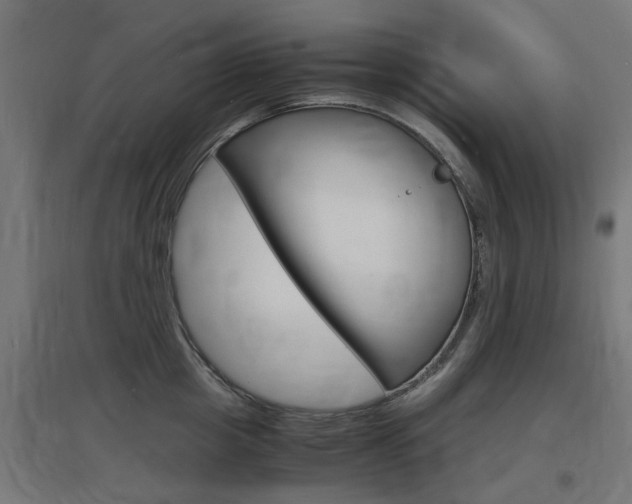 X0000097620857200802290818