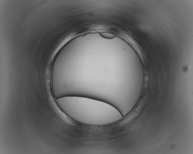 X0000097620859200802290818