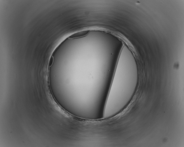 X0000097620860200802290818