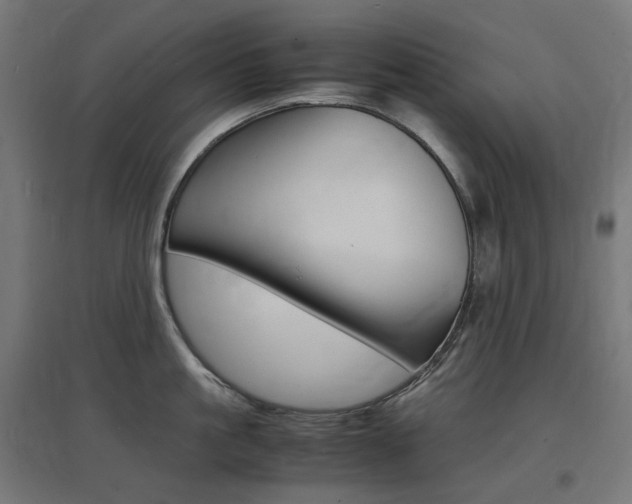 X0000097620861200802290818