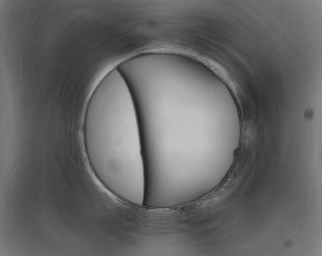 X0000097620863200802290819