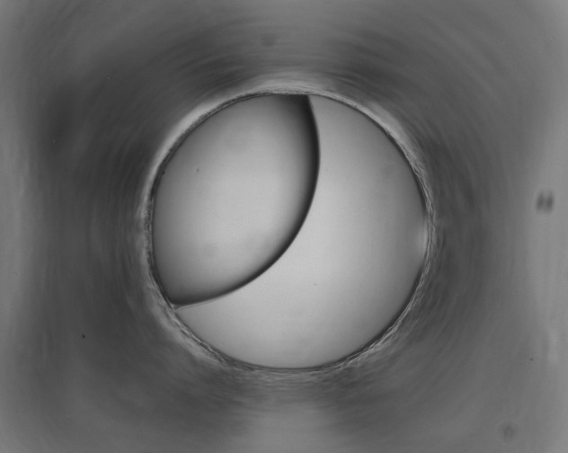 X0000097620864200802290819