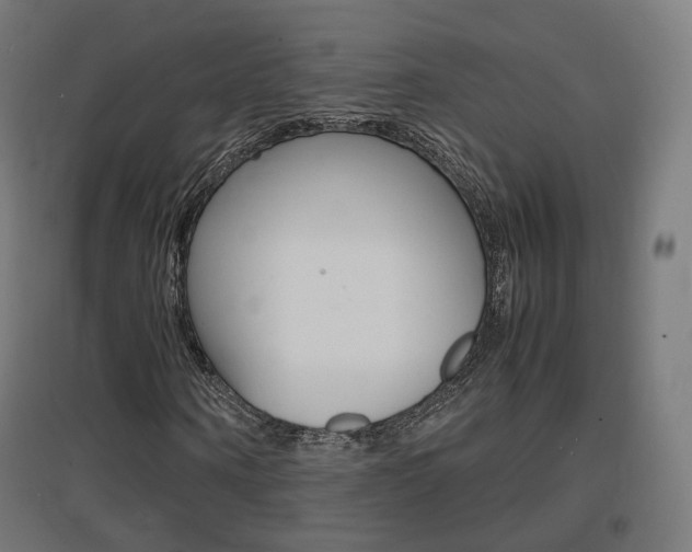 X0000097620866200802290818