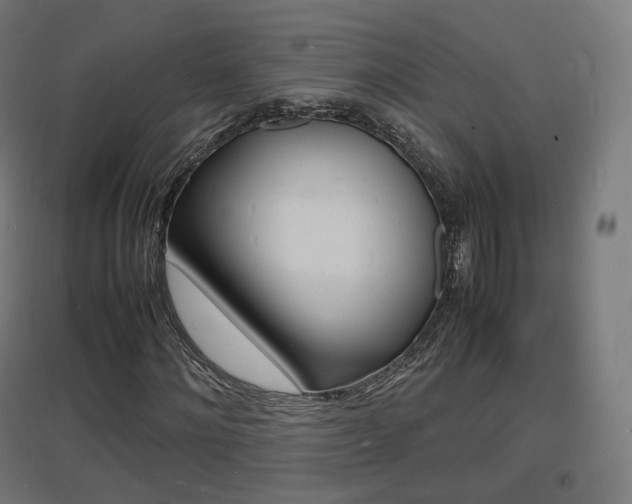 X0000097620868200802290818
