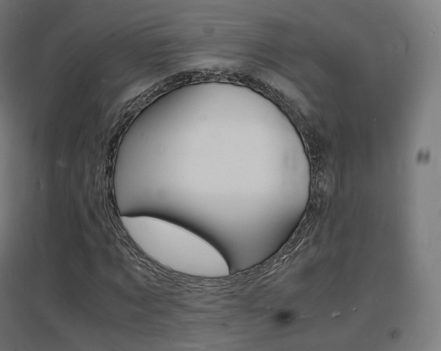 X0000097620869200802290818