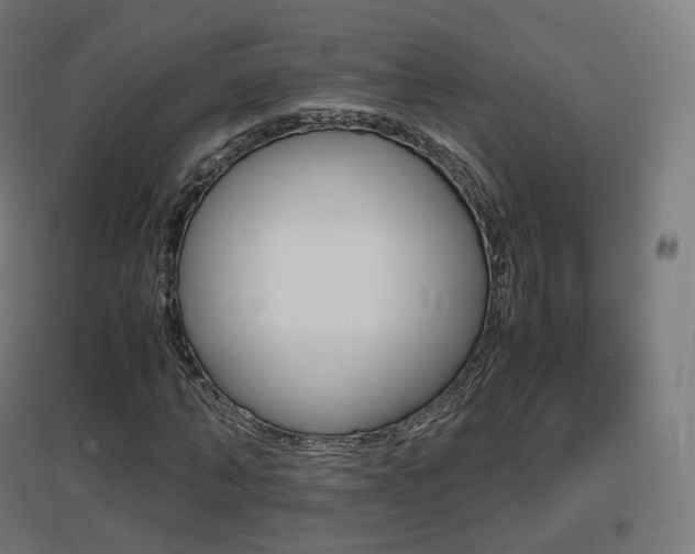 X0000097620870200802290818