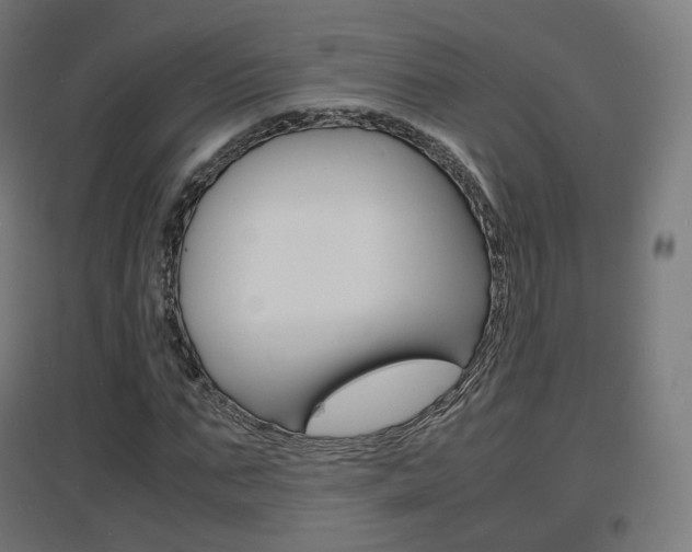 X0000097620871200802290818