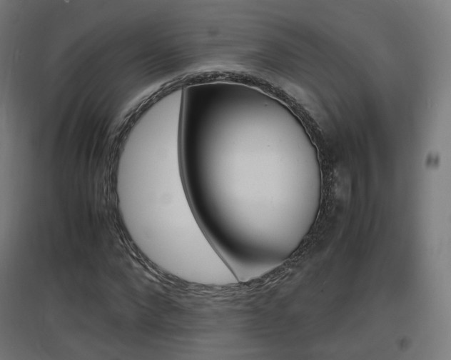 X0000097620872200802290818