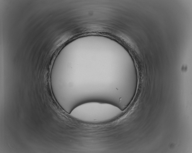 X0000097620873200802290818