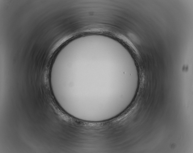 X0000097620874200802290818
