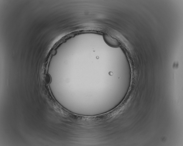 X0000097620875200802290818