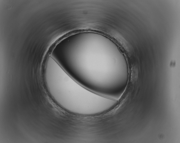 X0000097620876200802290818