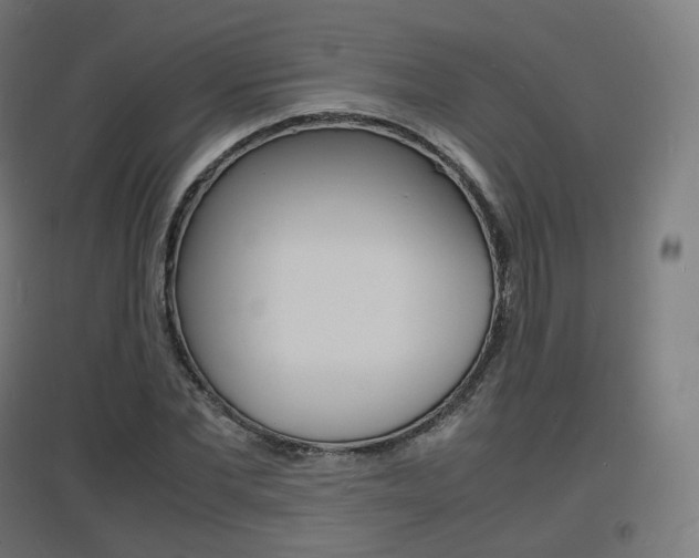 X0000097620877200802290818