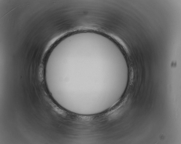 X0000097620878200802290818