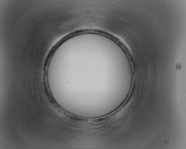 X0000097620879200802290818