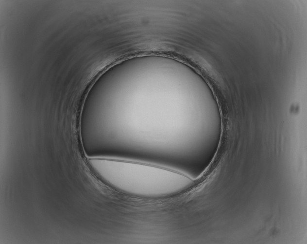 X0000097620881200802290818