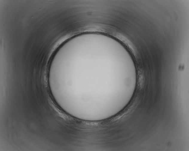X0000097620882200802290818