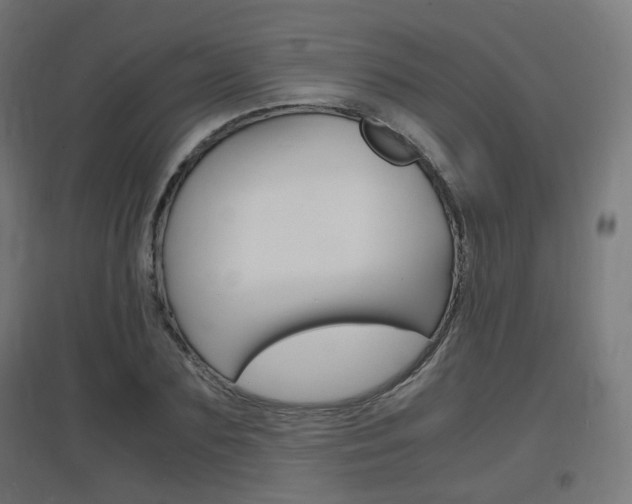 X0000097620883200802290818