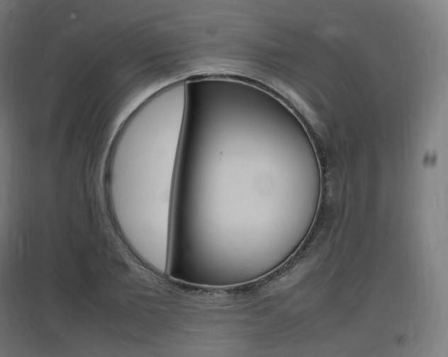 X0000097620885200802290818