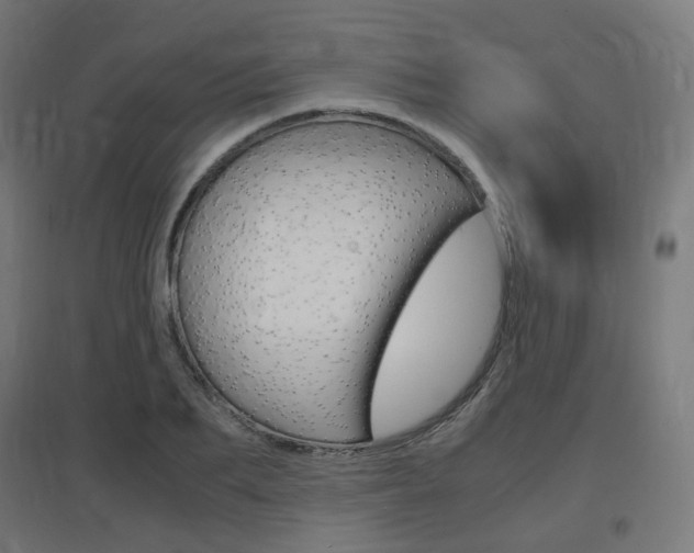 X0000097620887200802290818
