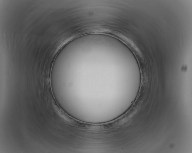 X0000097620889200802290817