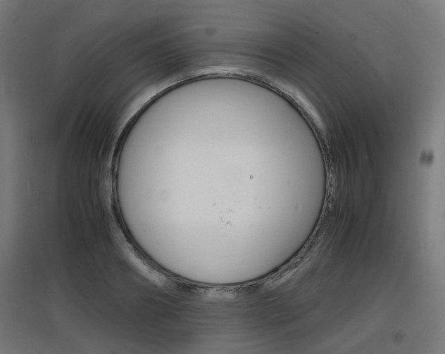 X0000097620890200802290817
