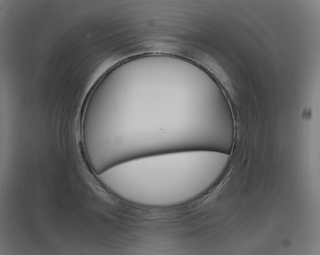 X0000097620891200802290817