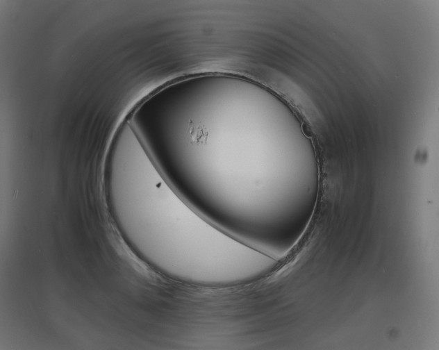 X0000097620892200802290817