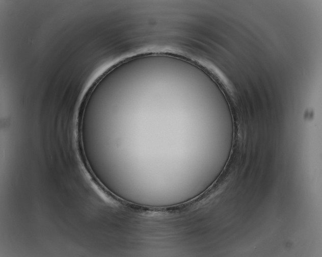 X0000097620894200802290817