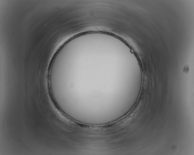 X0000097620895200802290817