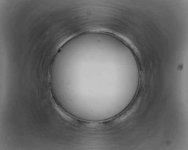 X0000097620897200802290817