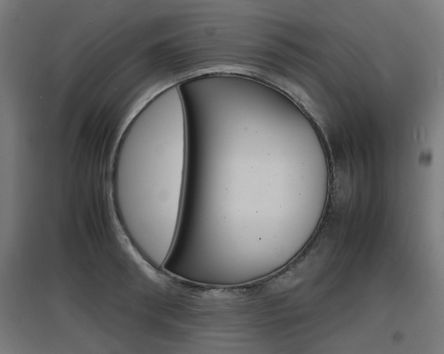 X0000097620898200802290817