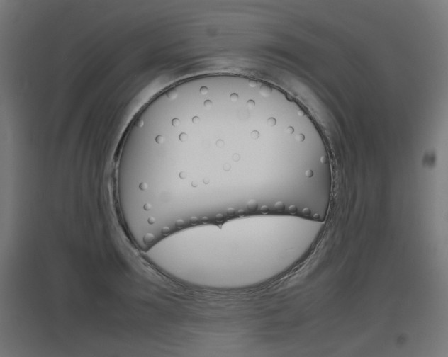 X0000097620899200802290817