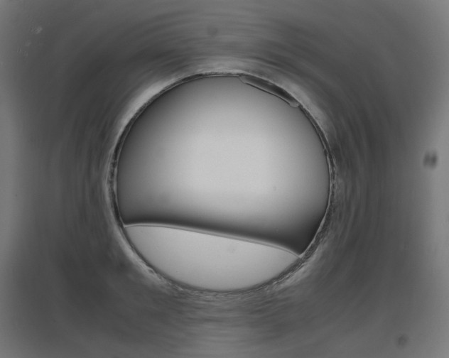 X0000097620901200802290817
