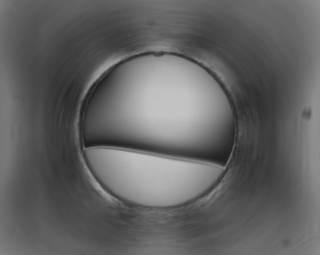 X0000097620902200802290817
