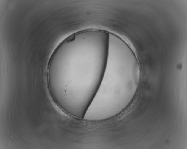 X0000097620903200802290817