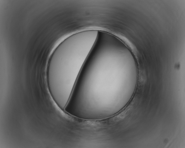 X0000097620910200802290817