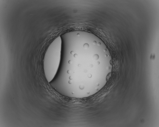 X0000097620913200802290816