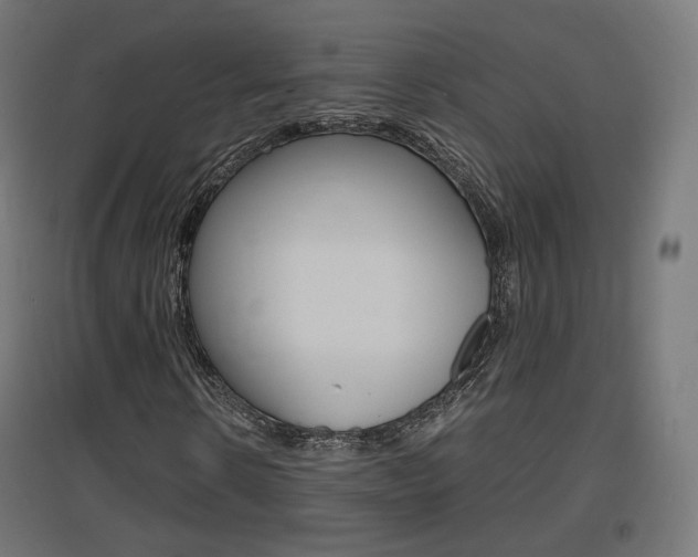 X0000097620914200802290816