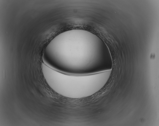 X0000097620916200802290817