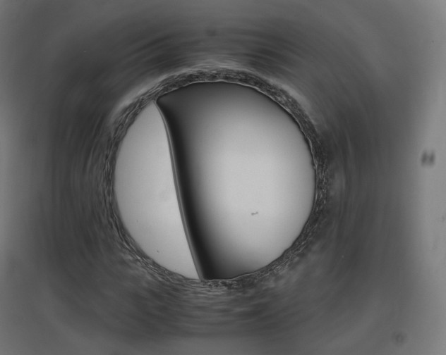 X0000097620919200802290817