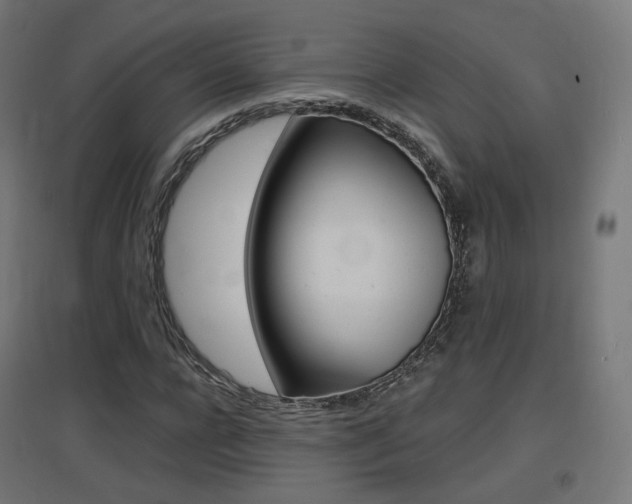 X0000097620920200802290817