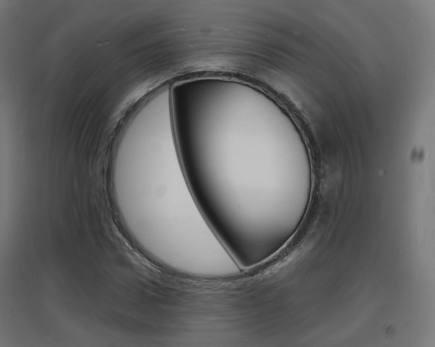 X0000097620922200802290817