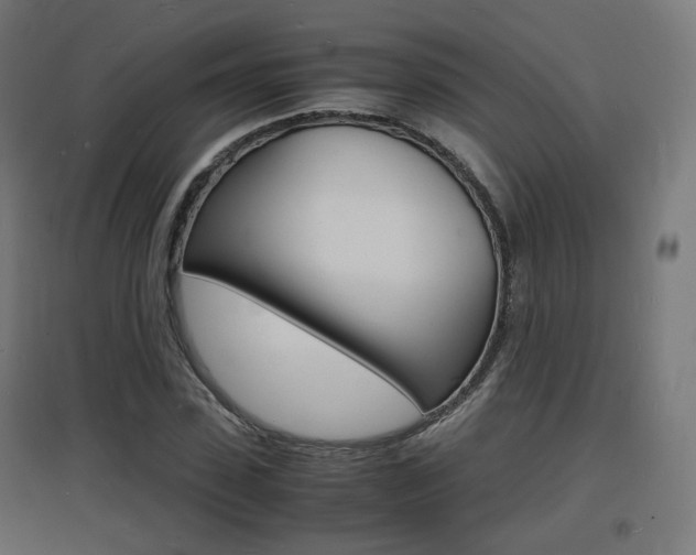X0000097620923200802290817