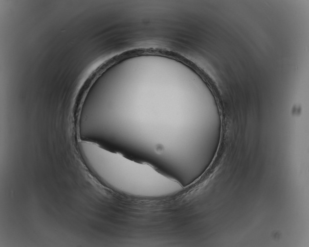 X0000097620927200802290817