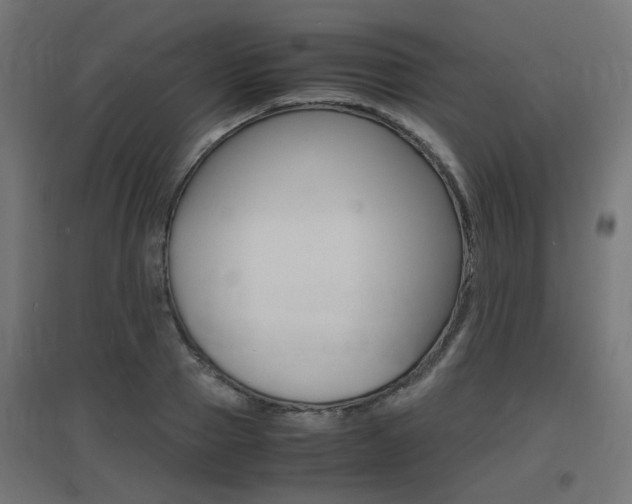 X0000097620937200802290817